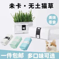 Uncard Lazy Cat Seed Set Set-equipped Full Ball to digest Water and Soil Peacock Taka Black Grass Pot Box