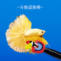 Thai Betta stick funny fish stick Betta toy show tail interactive gadget Betta special tease original design