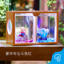 Thai Betta Moonlight fighting fish ornamental fish live half moon Lion King general Betta big ear half moon imported tropical fish