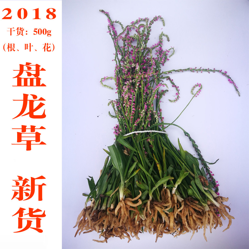 1斤贵州野生盘龙参盘龙草龙抱柱镰刀草海珠草龙盘旋猪鞭草鲤鱼草