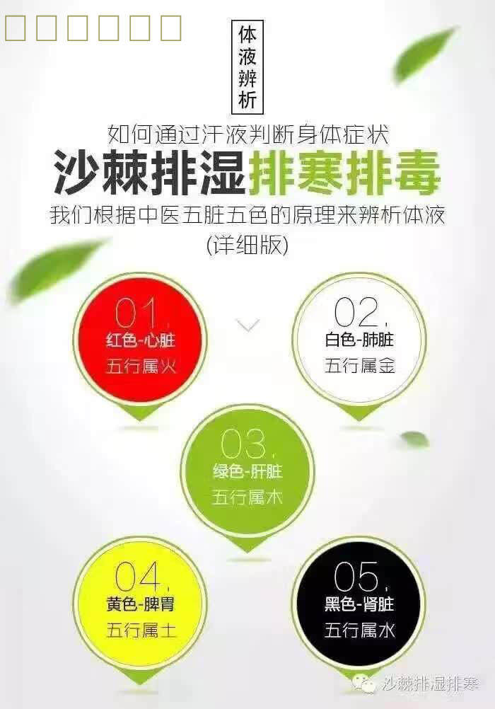 排酸膏沙棘_沙棘排酸膏沙棘排酸油排酸毯排酸油 - 阿里巴巴