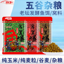 Lei Yans nest burst old altar corn grains wild fishing carp bait grain wheat nestled fish bait