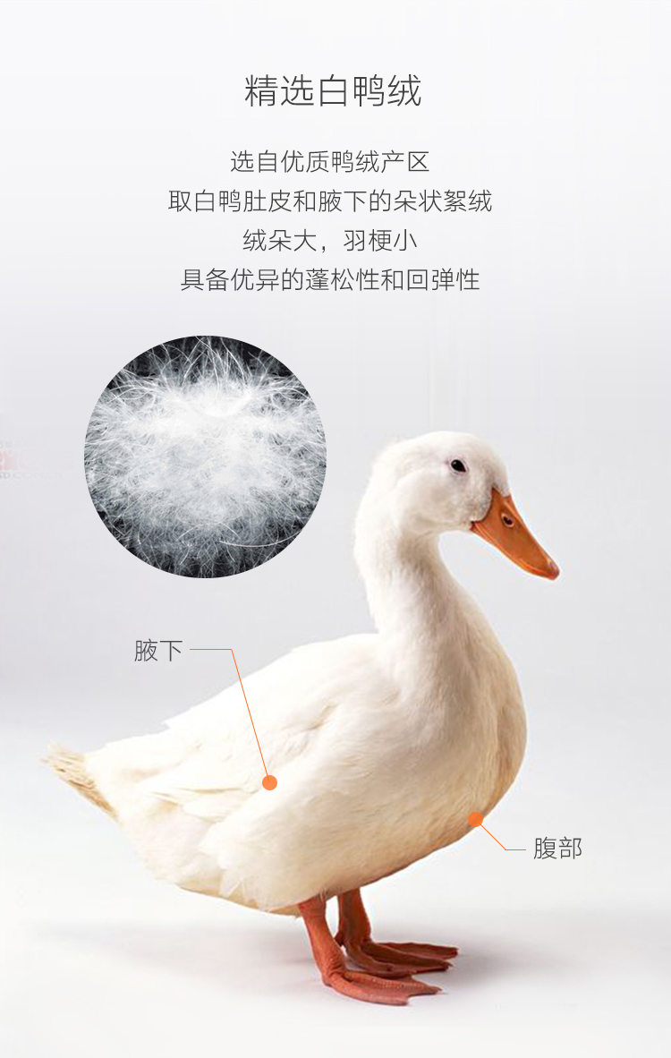 dapu/大朴90%白鸭鸭绒被冬被全涤磨毛被芯秋冬厚被羽绒被子柔软保暖