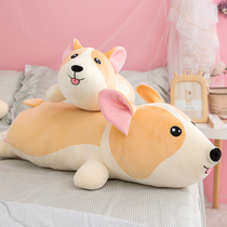 Down cotton cute lying Corgi plush toy pillow bed sleeping clip leg doll Dog doll girl