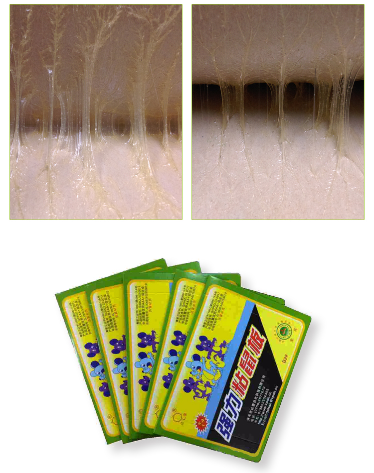 包邮达豪b2# 强力粘鼠板 粘鼠胶捕鼠灭鼠器老鼠贴20张装_不打折现价55