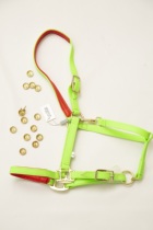 Xinjiang Yili Zanzhis craft supplies (horse scraper-horse dragon head)