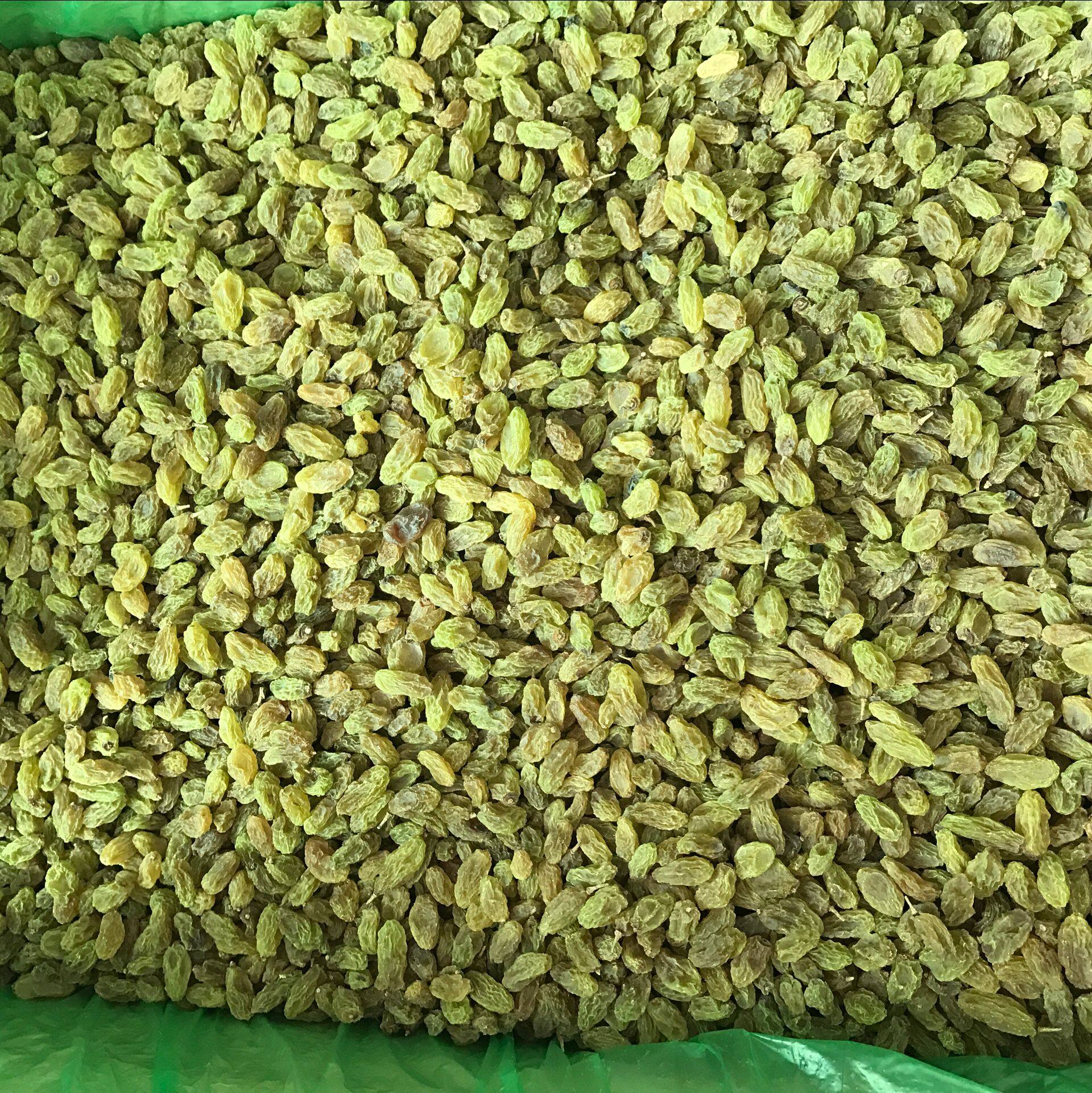 特级小葡萄干 小葡萄干炒酸奶专用 炒酸奶葡萄干 2000克包邮