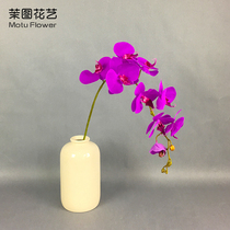 Moto Phalaenopsis silk flower living room bedroom table Vase decoration decoration single artificial flower flower arrangement floral art