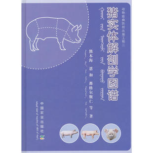 网 正版包邮】听你的 张皓宸新书百万畅销书作