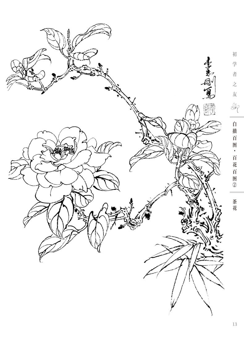 家庭购物站 这是一本白描资料书,内容精选了一百张花卉题材的白描佳作