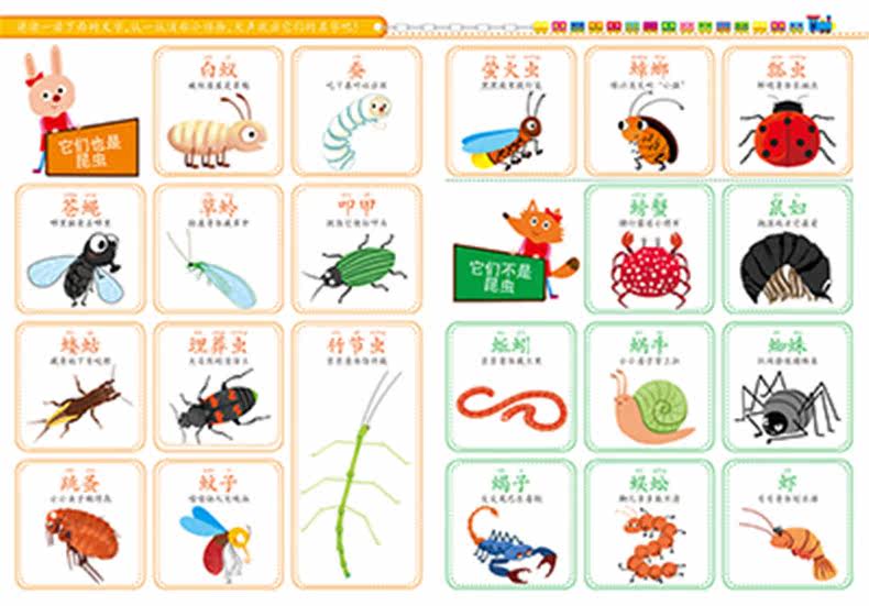 幼儿启蒙万次贴挂图:昆虫