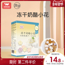 Ji Yi freeze-dried cheese block baby multi fruit cheese mixed flavor cheese 18g childrens snack food supplement