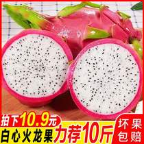 Vietnam white heart dragon fruit 10 pounds fresh seasonal tropical pregnant fruit white meat non-red heart dragon fruit 5 pounds batch