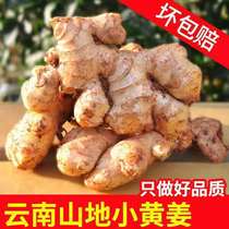 Ginger fresh small yellow ginger 10 kg with box Yunnan mountain planting soil ginger tender ginger moon ginger 2 vegetables 5 kg