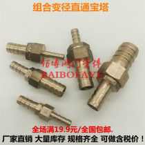 Copper straight pagoda plug 4 6 8 10 12 16-19mm variable diameter water pipe joint Hose quick conversion joint