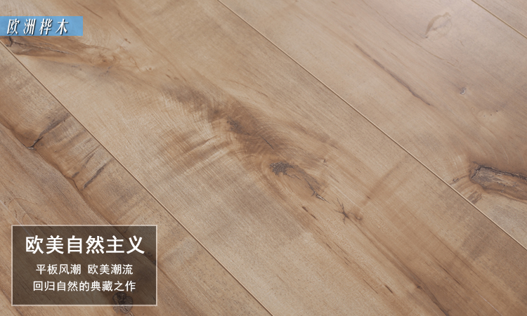 欧洲桦木木地板 原木色 美式欧式自然田园风格 家装12mm 强化复合