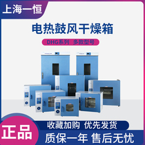 Shanghai Yiheng DHG-9030A DHG-9070A DHG-9140A Electric constant temperature blast drying oven oven