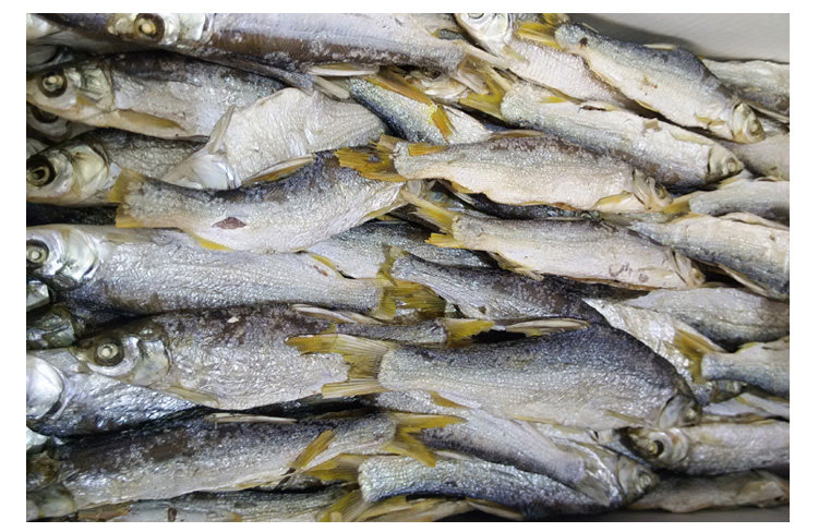 东江湖野生黄尾鱼干500g湖南特产农家自制干货淡水干鱼火焙鱼腊鱼_7折