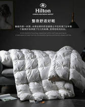 Hilton duvet 95% white goose down single double spring and autumn quilt core cotton thick warm winter quilt