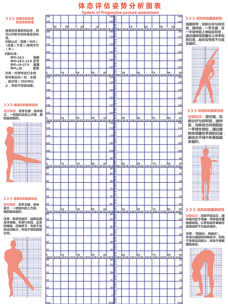全新升级专业版健身房体测评估表瑜伽人体位姿势测评墙身体评估图