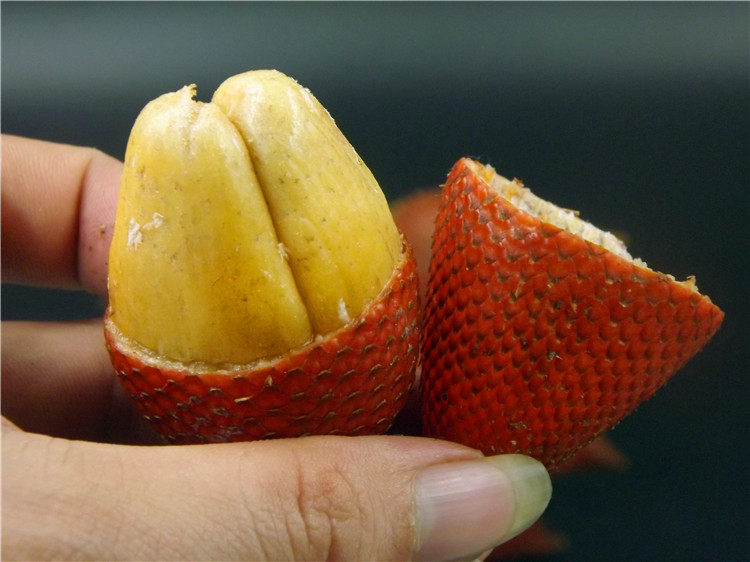 云南西双版纳特产泰国进口蛇皮果刺果脆甜新鲜水果满5斤顺丰包邮