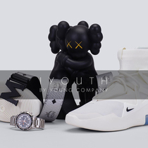 IYOUTH GENUINE AMERICAN KAWS TOGETHER QUALIFIED BLACK BROWN GREY LIMITED PAPARAZZI HAND PUPPET