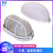 Wet steaming dry steaming room lighting lampshade Sauna room explosion-proof lamp Wet steaming algae hall anti-fog lamp Halia explosion-proof lamp