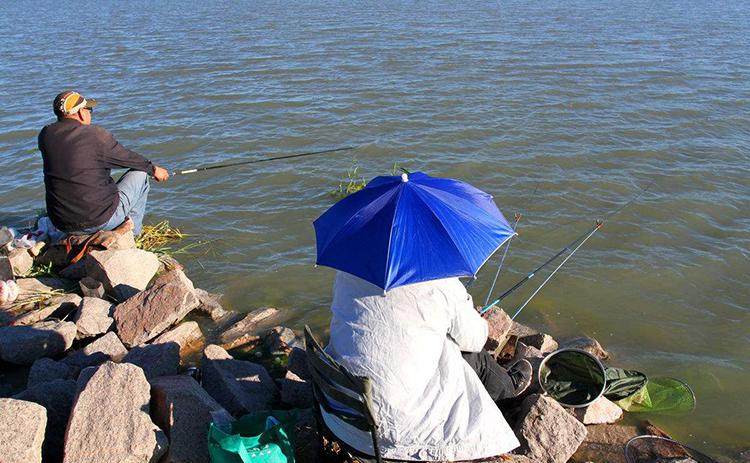 掌握这几个小技巧在流水水域作钓更轻松