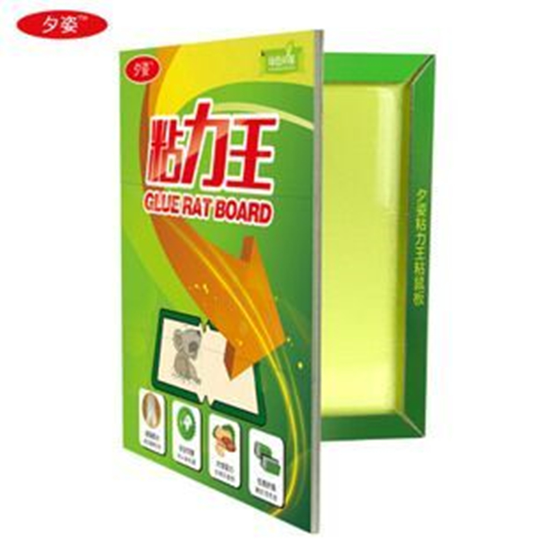 粉丝福利购优惠券5元