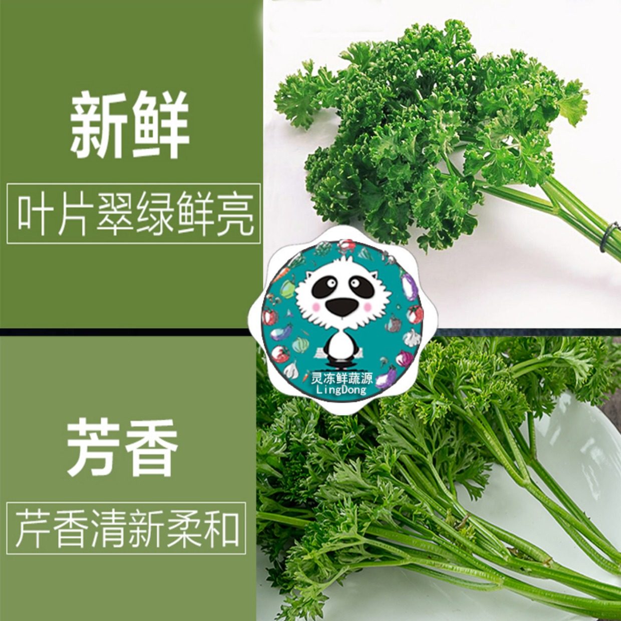 【蔬菜满98包邮】新鲜法香 荷兰芹 欧芹 西餐配饰 新鲜蔬菜 250g