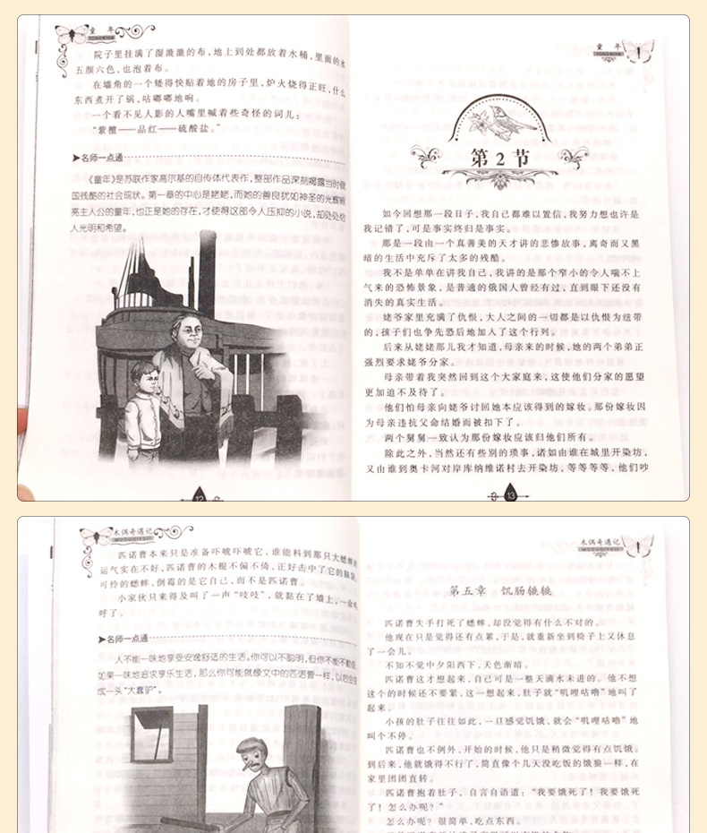 Młodzieżowa literacka klasyka w języku chińskim: Pinokio, Jane Eyre, Stary człowiek i morze - zestaw 10 sztuk - Wianko - 14
