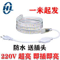 High pressure indoor led light strip 220V super bright living room white light household outdoor waterproof strip strip 2835 5050