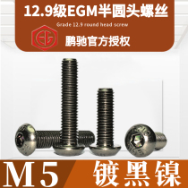 M5 Black Nickel Semi Circle 12 9 EGMISO 7380 High Strength Harding SCM435 Inner Hexagonal Screw Bolts