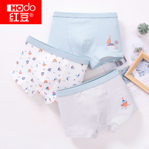 Red bean boys boxer trousers cotton childrens underwear mens boxer middle school childrens baby cotton shorts