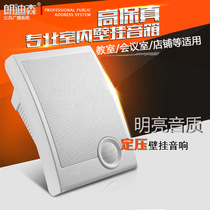 Public Broadcasting Premium Quality 10W Constant Pressure Background Soundpost Speaker Horn Campus Wall-mounted Horn