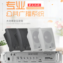 Wall-mounted sound box shop with indoor commercial wireless Bluetooth background Music supermarket milk tea hanging wall style