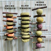 3-piece set grass ball apple branch molars skewer carrot grass cake bite bunny snack guinea pig hamster chinchin