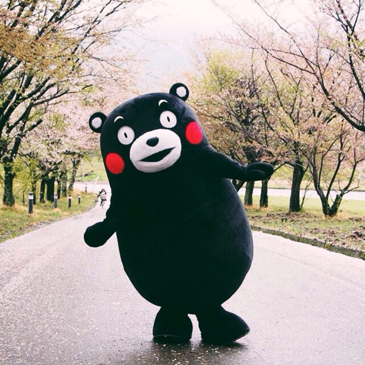 与哆啦a梦一样出生在日本的他,比矮小的哆啦a梦更能逗你一笑.