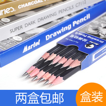 Marley sketch pencil Soft hard charcoal pen art students with drawing horsepower 14b8b2h2b