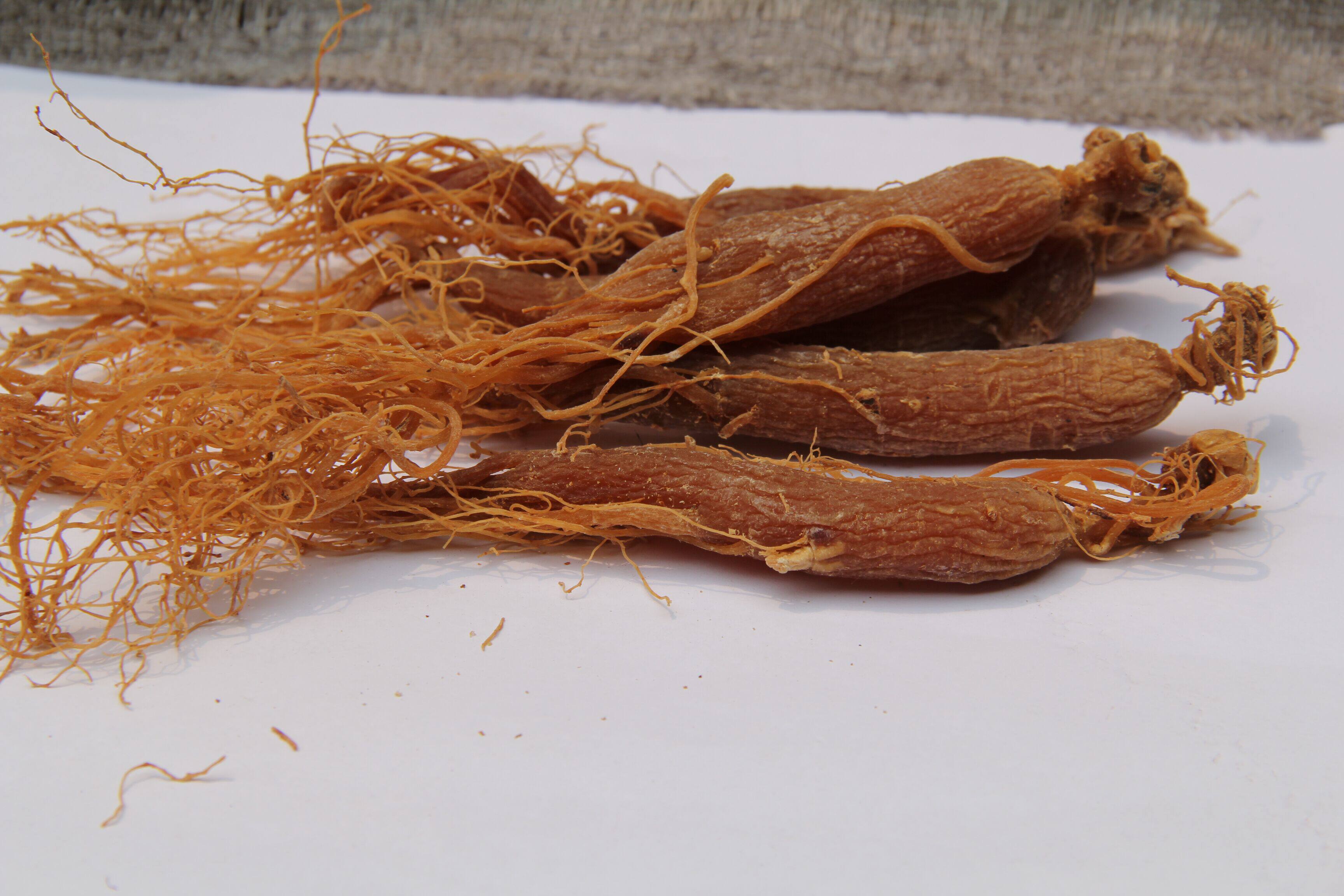 带须红参 长白山红参人参须整枝白参吉林人参片高丽参片250克包邮