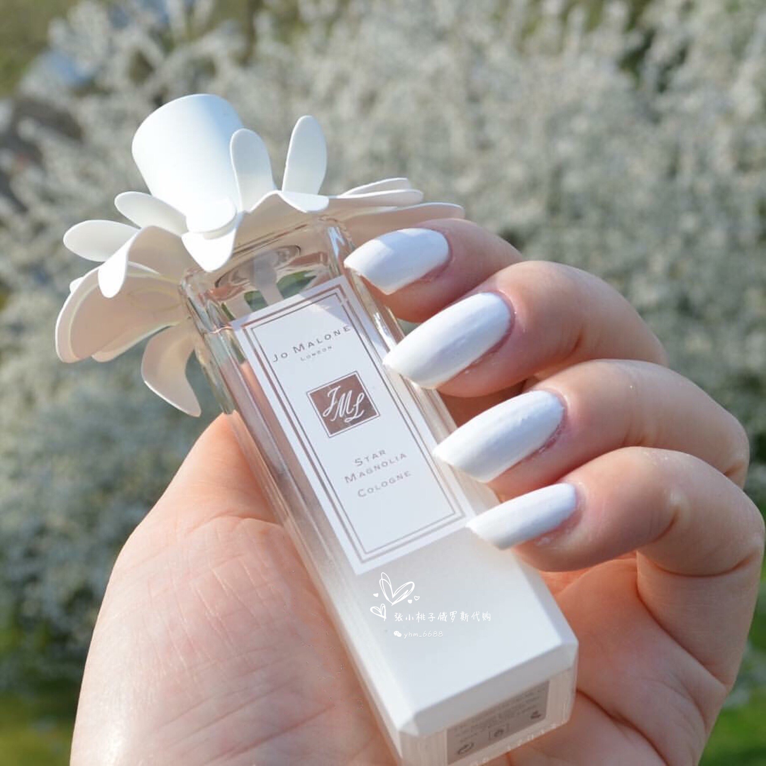 jo malone祖马龙star magnolia星花木兰限定限量香水女士淡香花香_7折