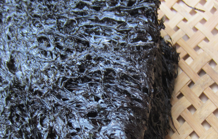 新货霞浦头水紫菜干货500g 1斤福建野生特级紫菜无沙免洗散装海苔