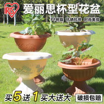 Alice IRIS cup-shaped resin two-piece European-style large flowerpot 30E35E fleshy green rose hanging orchid flower pot