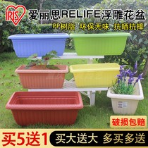 Alice resin flowerpot environmental protection plastic relief rectangular flowerpot Alice vegetable family balcony vegetable pot