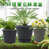 Global Plastic Flower Pot Holen Standard Pot Grass Pot Rose Rose Fruit and Vegetable Planting Pot Meat Pot Seedling Pot