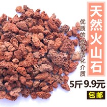 Natural volcanic stone porous succulent plant nutrient soil pavement bottom orchid plant material special soil particle soil bag
