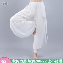 Classical modern dance performance clothing chiffon yarn dance practice pants elegant white yoga bloomers female streamers