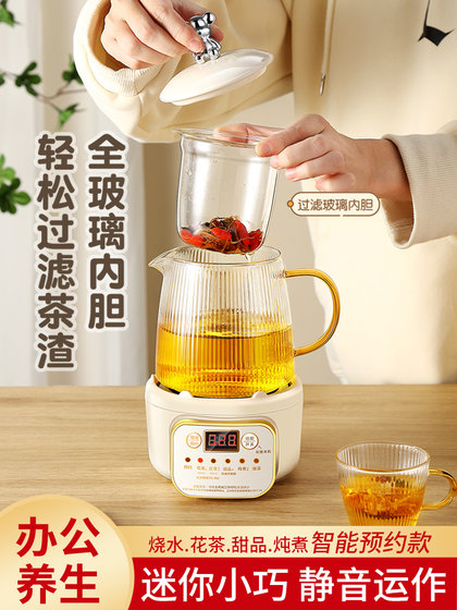 수입 일본 Mujie Mini Health Pots for Home 사용 다기능 사무실, 1 인용 차 끓는 주전자 차 끓는 주전자 차 끓는기구 수입 일본 Mujie Mini Health Pots for Home 사용 다기능 사무실, 1 인용 차 끓는 주전자 차 끓는 주전자 차 끓는기구