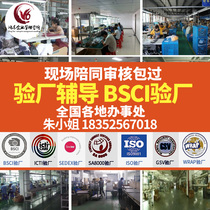 Walmart Wal-mart factory inspection guidance disney factory inspection guidance bsci sedex smeta factory inspection