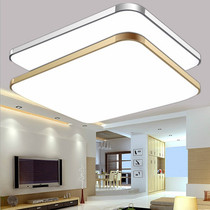 Living room LED ceiling lights Smart dimming Bedroom study flat ceiling lights Acrylic apple lights
